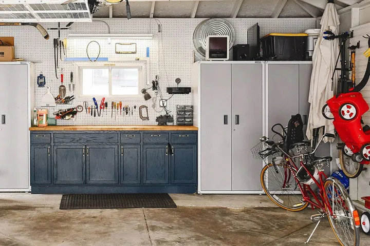Mold Removal and Remediation - The Mold Genius