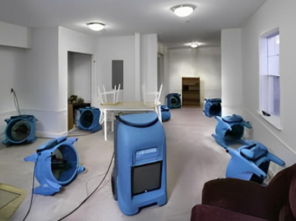 Why Contaminated Storm Runoff Demands Certified Flood Damage Restoration Services