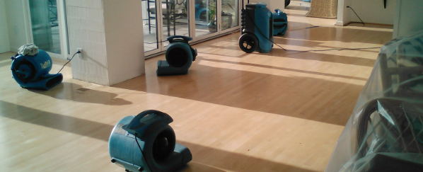 How to Dry a Water Leak Carpet Wet Area Properly