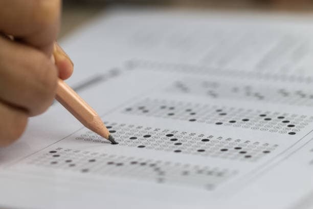 Using WisPaper to Create Research Summaries for Common Questions Across Disciplines Easily