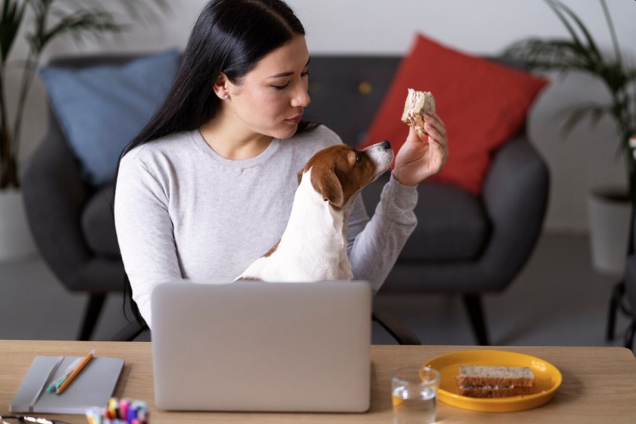 Affordable Dog Food Guide: Feed Your Dog Well Without Overspending Affordable Dog Food Guide: Feed Your Dog Well Without Overspending