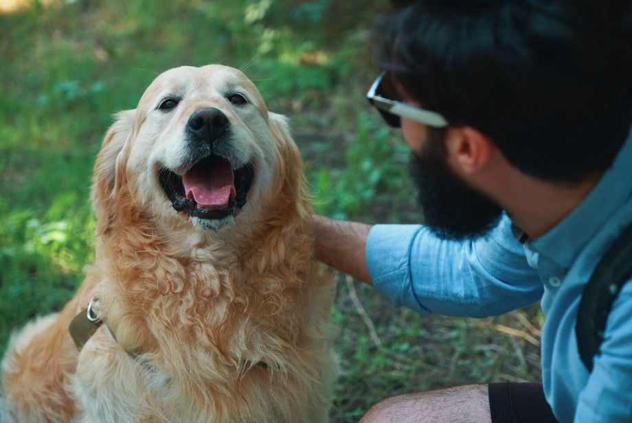 Best Dog Toothpaste: 7 Must-Know Tips Every Dog Owner Should Follow Best Dog Toothpaste: 7 Must-Know Tips Every Dog Owner Should Follow