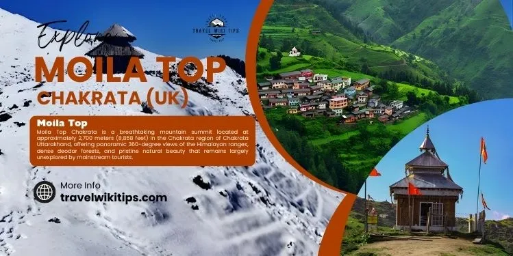 Complete Hill Station Vacation Guide for Relaxing Scenic Mountain Adventures Complete Hill Station Vacation Guide for Relaxing Scenic Mountain Adventures