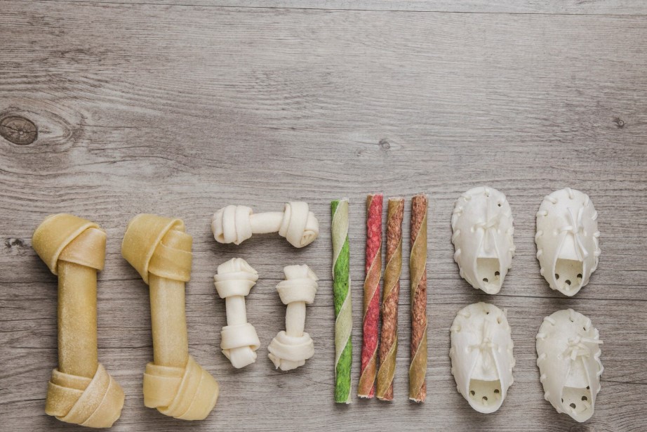 Best Bones for Dogs by Age, Size & Breed: A Smart Owner’s Guide