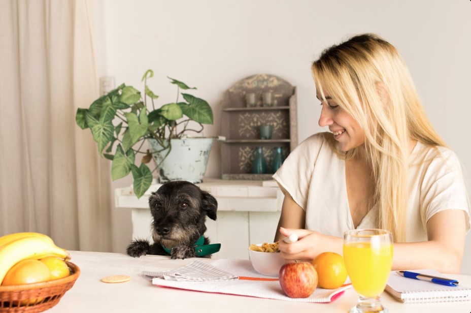 Affordable Dog Food Secrets: How to Feed Your Dog Healthy on a Budget