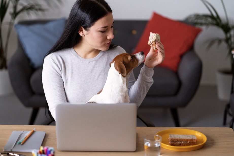 Is Affordable Dog Food Good Enough? Expert Tips You Need to Know