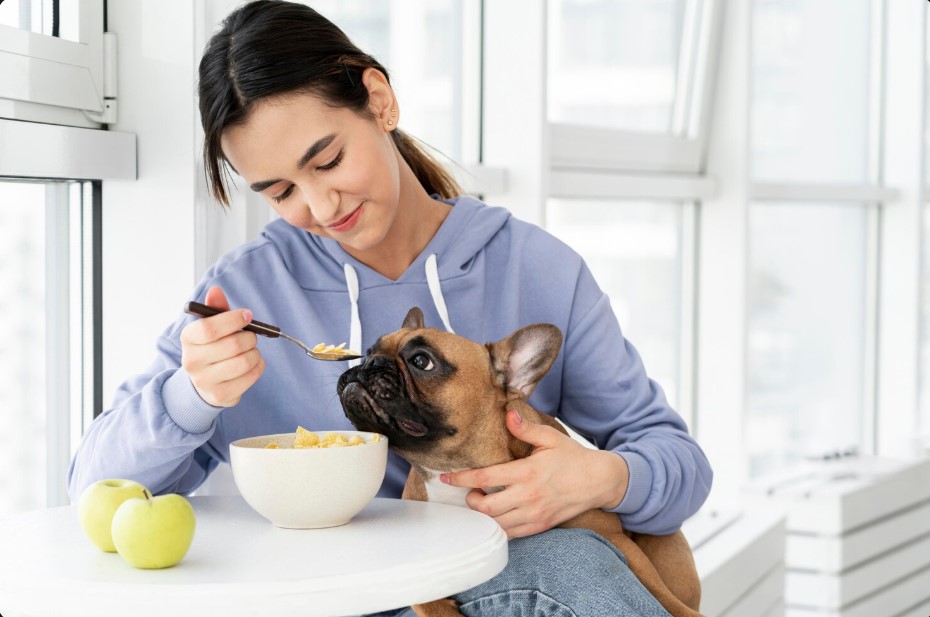 What Makes Healthy Dog Food Truly Healthy? Expert Insights What Makes Healthy Dog Food Truly Healthy? Expert Insights
