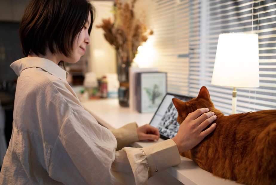 Pet Tracking App & Automatic Cat Feeder: How Smart Technology Is Transforming Pet Care Pet Tracking App & Automatic Cat Feeder: How Smart Technology Is Transforming Pet Care