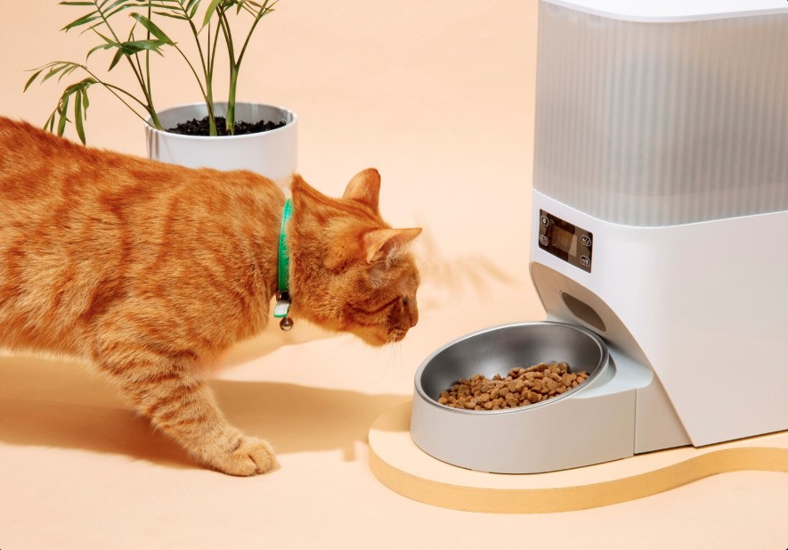 Benefits of Dr Marty Cat Food for Indoor Cats