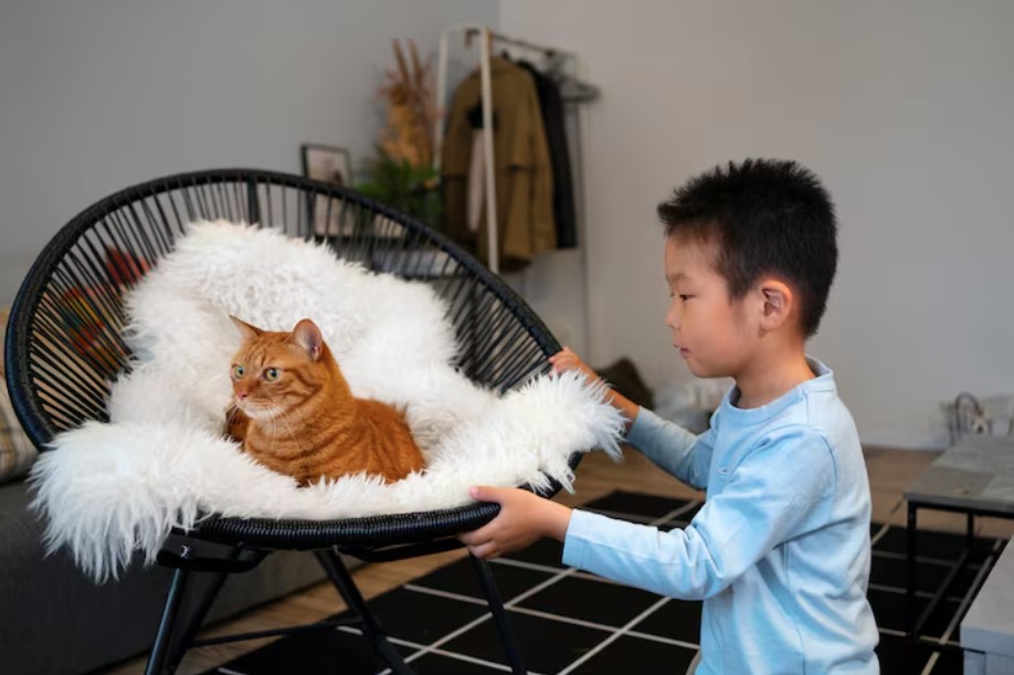 Upgrade Your Cat’s Life with the Best Cat Products for Play, Comfort, and Care