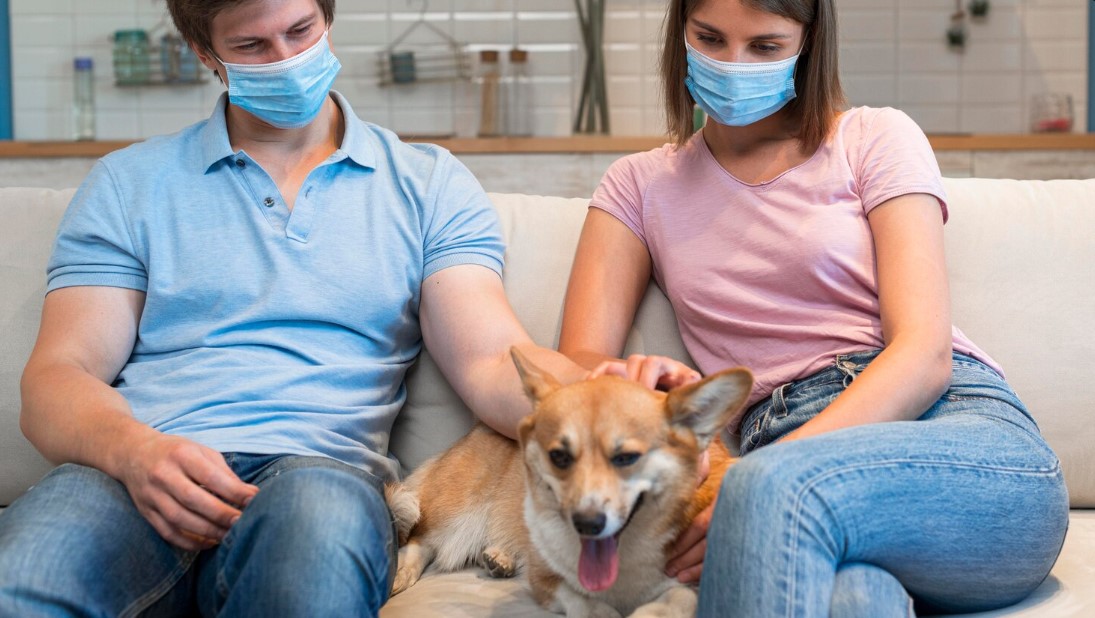 Elanco Tapeworm Dewormer for Dogs: Signs, Treatment, and Prevention Tips Elanco Tapeworm Dewormer for Dogs: Signs, Treatment, and Prevention Tips