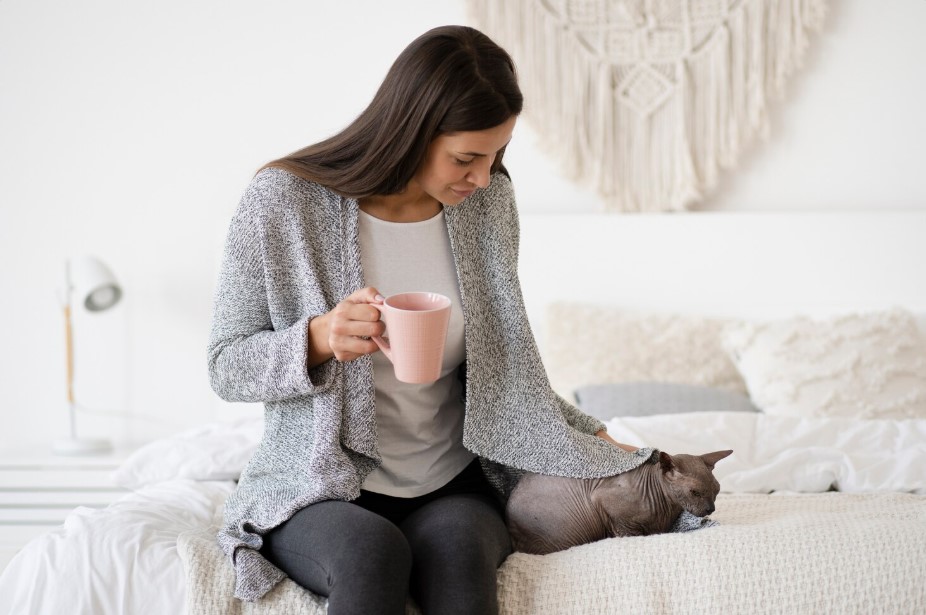 How a Cat Feeder Can Help Manage Your Cat’s Weight