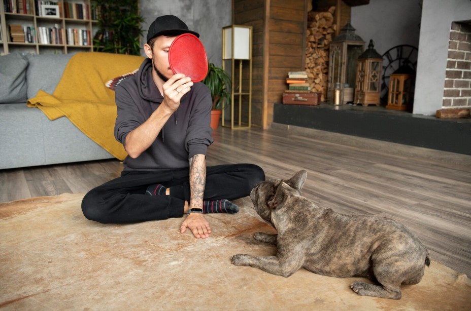 How Often Should You Replace Your Cat’s Toys?