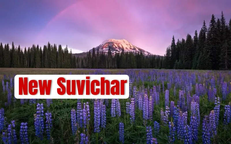 Simple Suvichar Thoughts That Help Build a Better Everyday Life