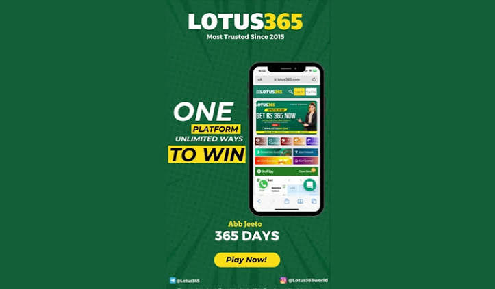 Lotus365 Cricket Betting Odds Explained for Beginners Lotus365 Cricket Betting Odds Explained for Beginners