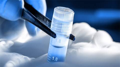 Expert Take on Stem Cell Banking: Should You Opt For It?