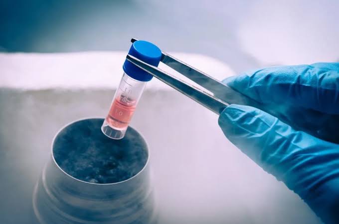 Private vs Public vs Community Stem Cell Banking: Which Is Right for Your Family?