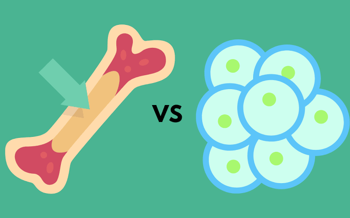 Cord Blood Transplant vs Bone Marrow Transplant: What Every Indian Parent Must Know