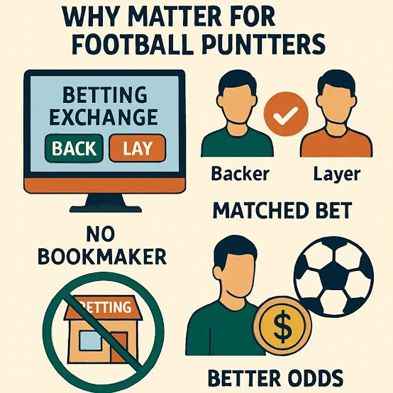Funny Exchange Sports Betting Tips for New Users