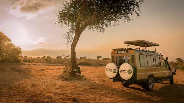 Night game drive in Tarangire - during your stay in Tarangire Safari Lodge  | Tanzania Specialist