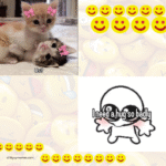 Easy Everyday Habits That Help You Create Better Funny Memes Online Easy Everyday Habits That Help You Create Better Funny Memes Online