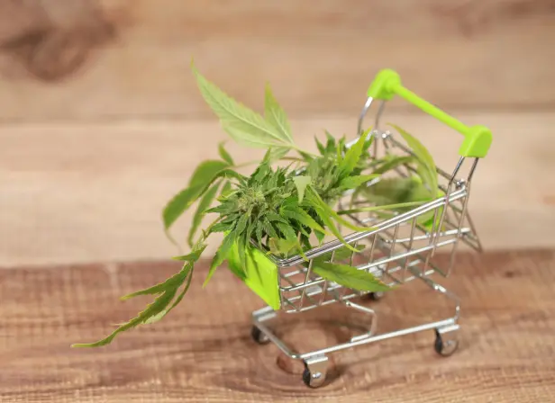 Dispensary Delivery Services: A Complete Guide to Convenient Cannabis Access
