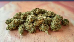 Popcorn Weed For Sale: Key Factors to Consider Before Making a Purchase