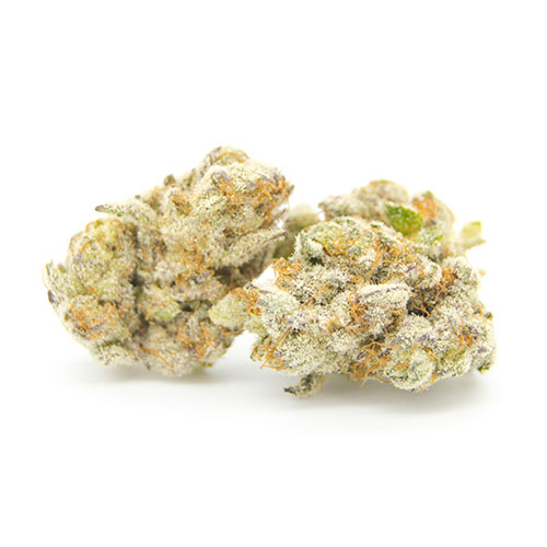 Popcorn Weed For Sale: A Beginner’s Guide to Choosing the Right Product