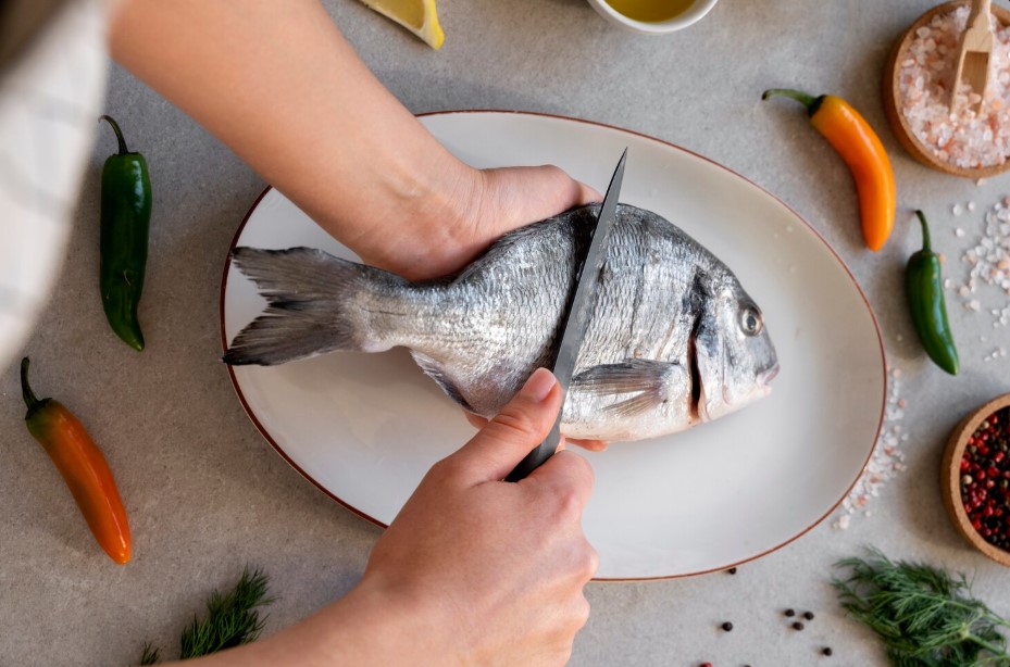 Beginner’s Guide to Choosing Hikari Fish Food Beginner’s Guide to Choosing Hikari Fish Food