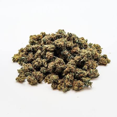 Discover Premium Popcorn Weed for Sale with Fast Order Weed Delivery Discover Premium Popcorn Weed for Sale with Fast Order Weed Delivery