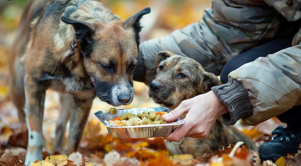 Is Badlands Ranch Dog Food Worth It? Complete Nutrition Guide for Pet Parents