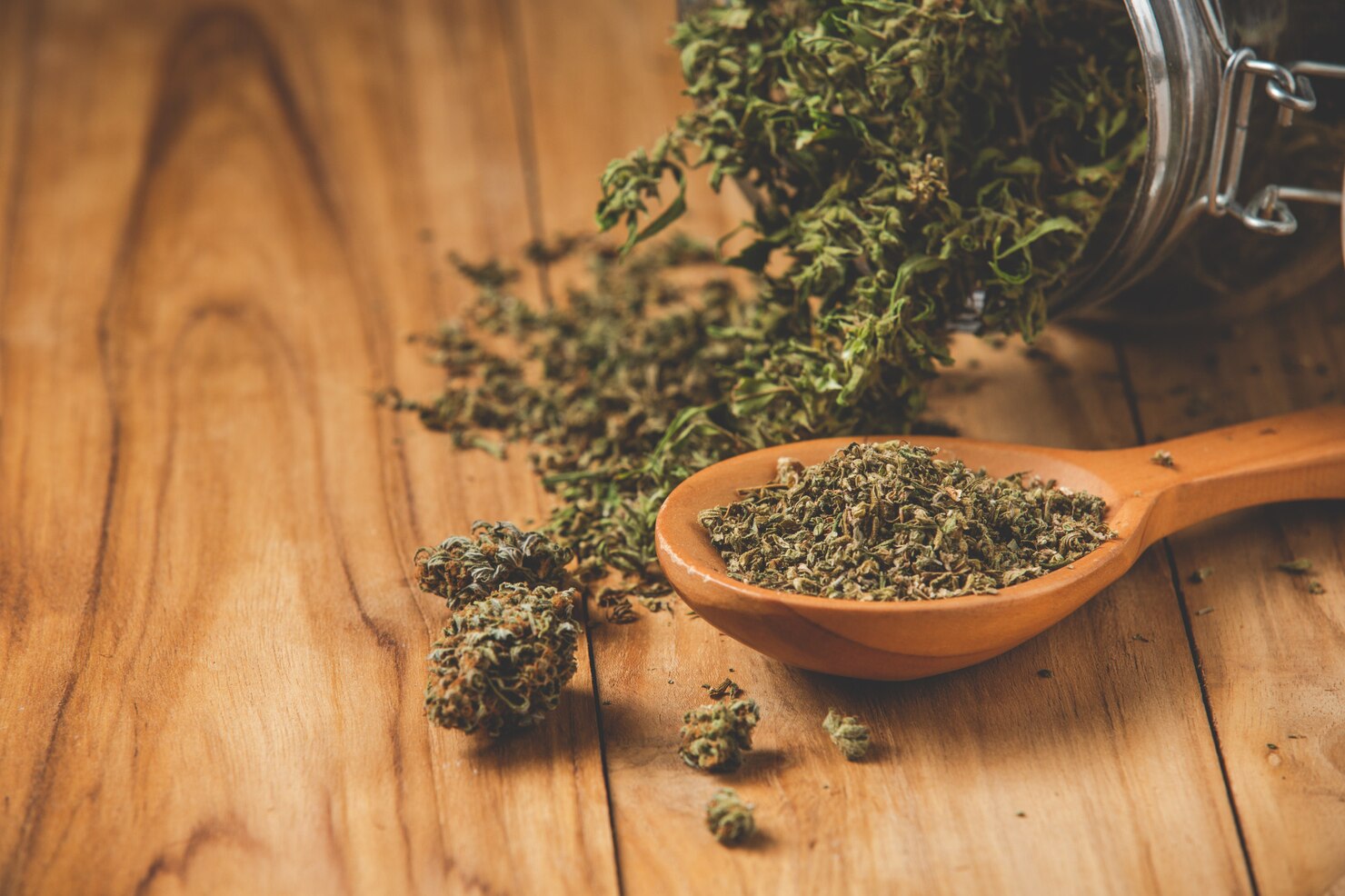How Can You Locate the Best THCA Flower?