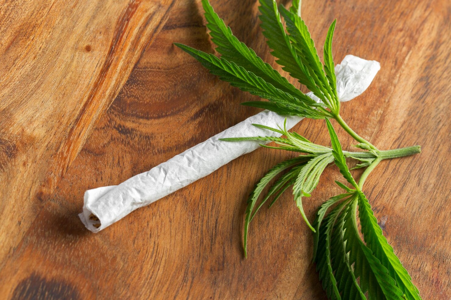 How Are THCA Products Helpful in Providing Full Body Relaxation?