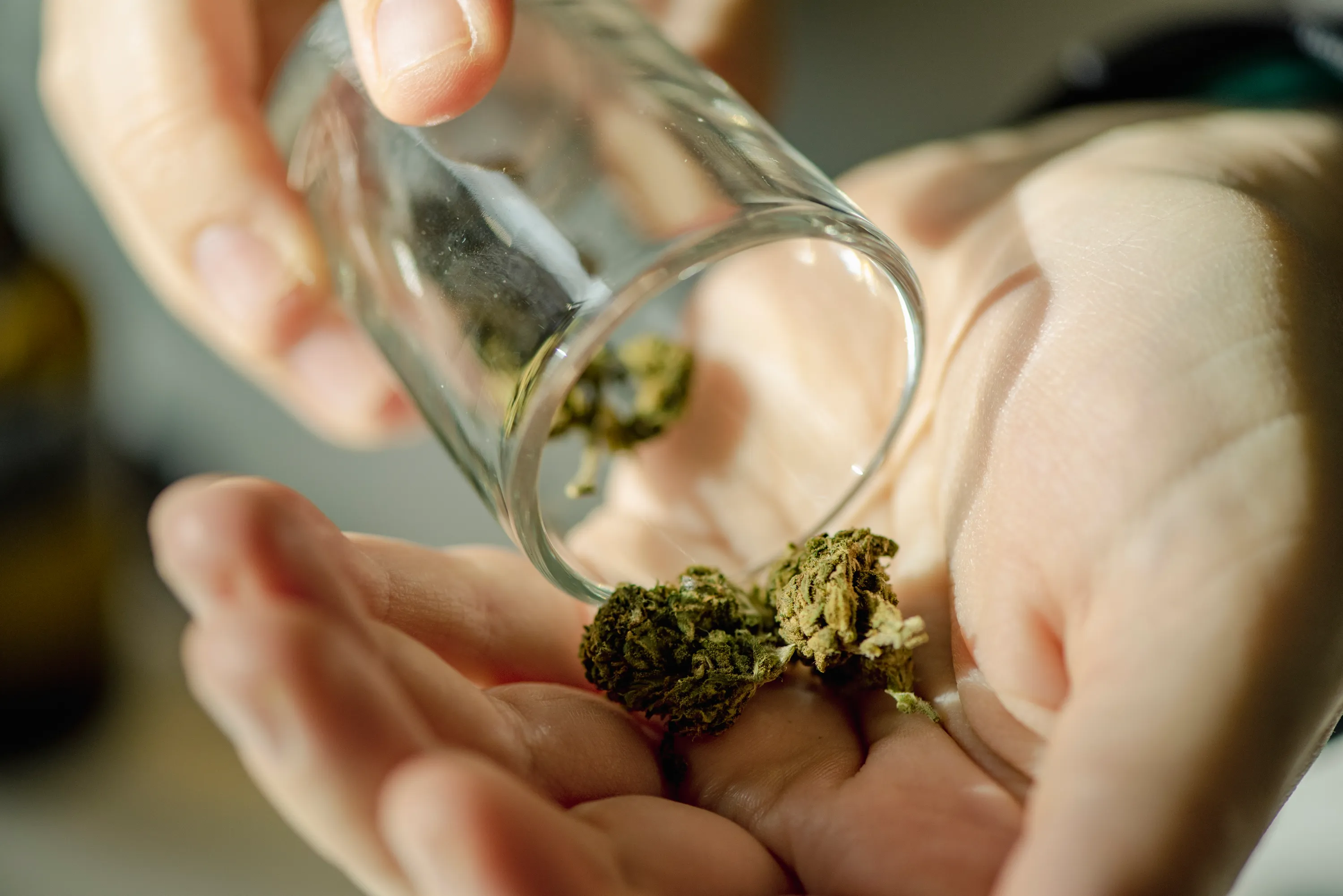 Understanding Quality Standards for Legit Online Dispensary Shipping Worldwide Understanding Quality Standards for Legit Online Dispensary Shipping Worldwide