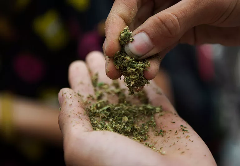 California Online Dispensary Shipping Worldwide: Features to Consider Before Ordering