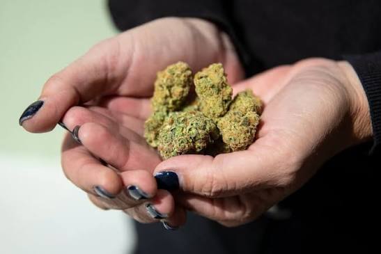 Essential Features to Look for in Colorado Online Dispensaries That Ships