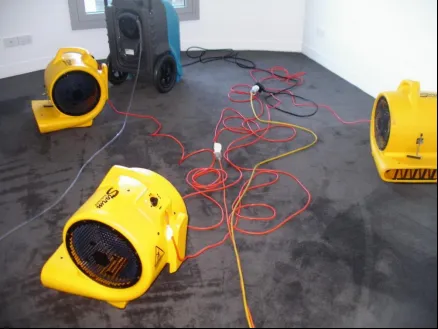Why Household Fans Can’t Match Industrial Carpet Drying and Professional Cleaning