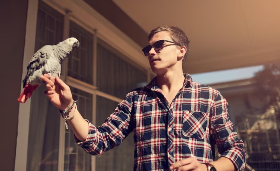 Why Choose Volkman Pet Products for Your Birds Why Choose Volkman Pet Products for Your Birds