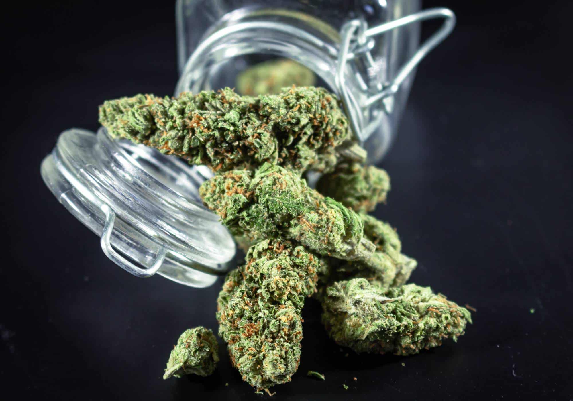 Benefits of Choosing Weed Delivery Online for Fast and Easy Access