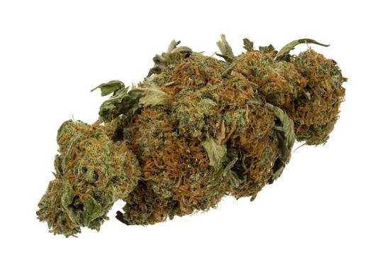 Weed Delivery Online: A Beginner’s Guide to Hassle Free Ordering Weed Delivery Online: A Beginner’s Guide to Hassle Free Ordering