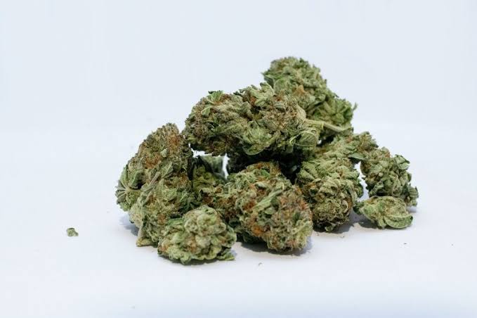 How Weed Delivery Online Is Transforming Cannabis Retail How Weed Delivery Online Is Transforming Cannabis Retail