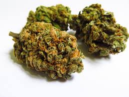 Dispensaries That Ship to MN: Exploring Safe and Convenient Shopping Options