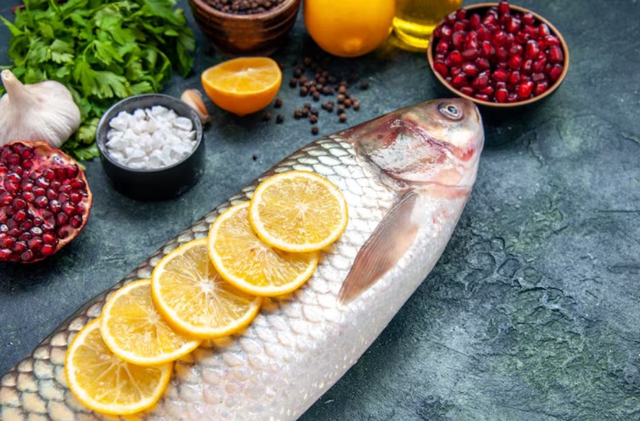 Understanding Different Types of Saltwater Fish Food Understanding Different Types of Saltwater Fish Food