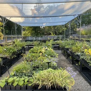 HOMEGROWN - Updated July 2026 - 13 Reviews - 1 Alfred Stone Rd, Pawtucket,  Rhode Island - Nurseries & Gardening - Phone Number - Yelp