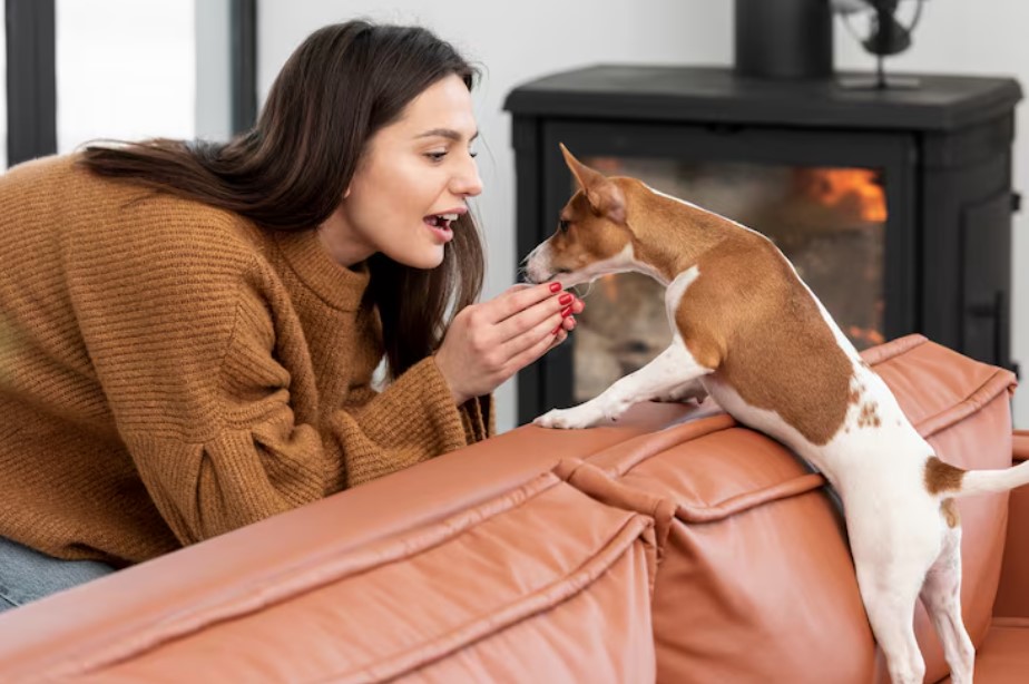 Best Small Breed Dog Food: A Smart Feeding Guide