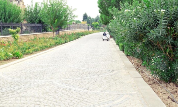 Enhancing the Curb Appeal of Outdoor Vehicle Paths