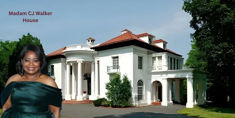 Discover Business Tycoon Houses That Blend Luxury Design With Lasting Value Discover Business Tycoon Houses That Blend Luxury Design With Lasting Value