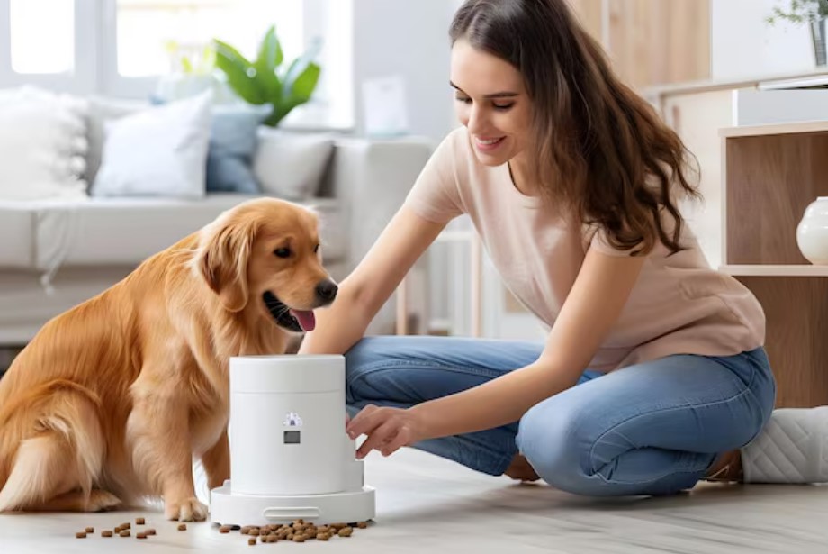 Dog Feeders Guide: Types, Benefits, and Best Picks Dog Feeders Guide: Types, Benefits, and Best Picks