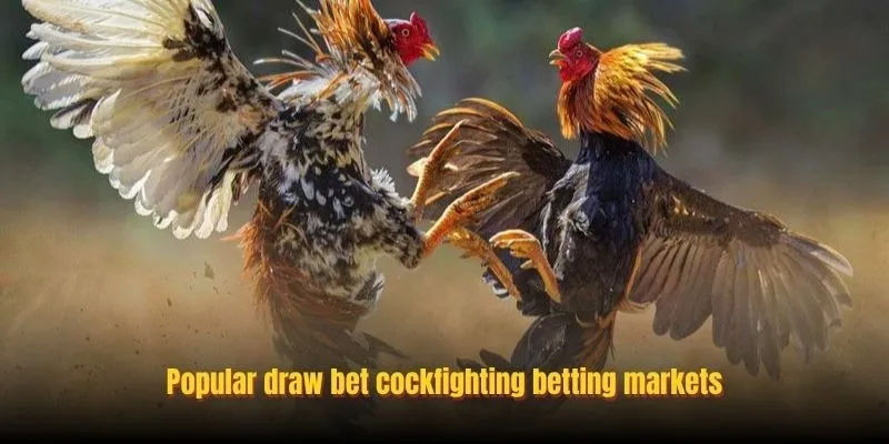 Popular draw bet cockfighting betting markets