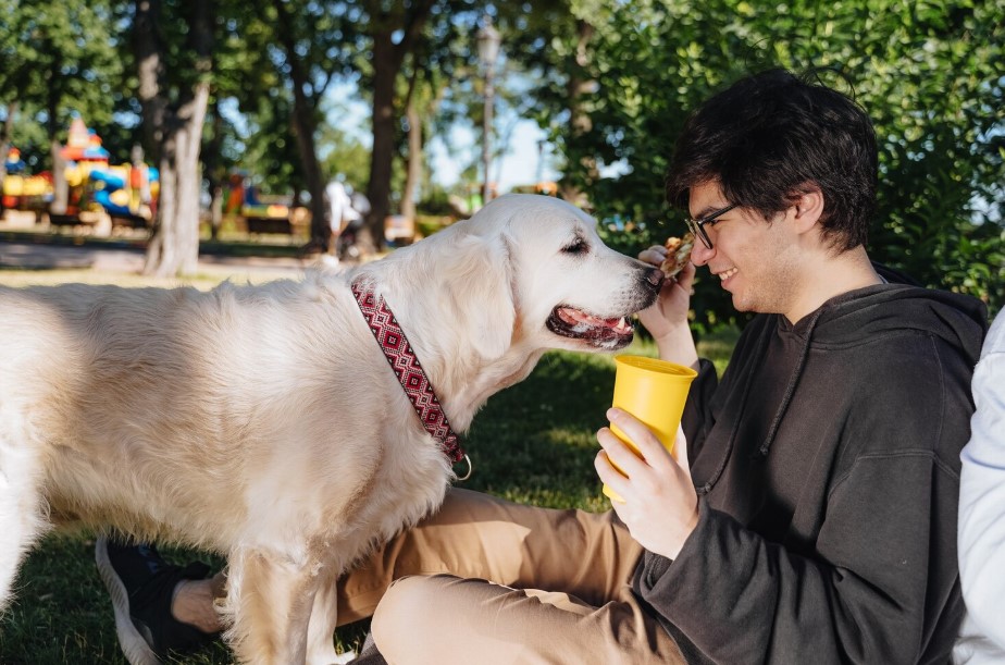 Dr Marty Dog Food Review 2026: Is It Worth the Premium Price?
